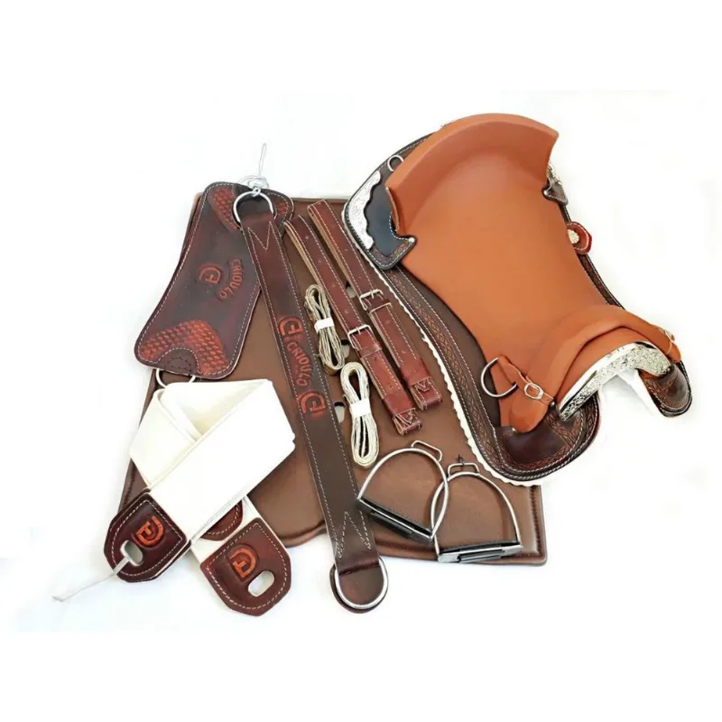 Montaria Sela Freio Ouro Chapeada Cavalo Laço Comprido Jm30