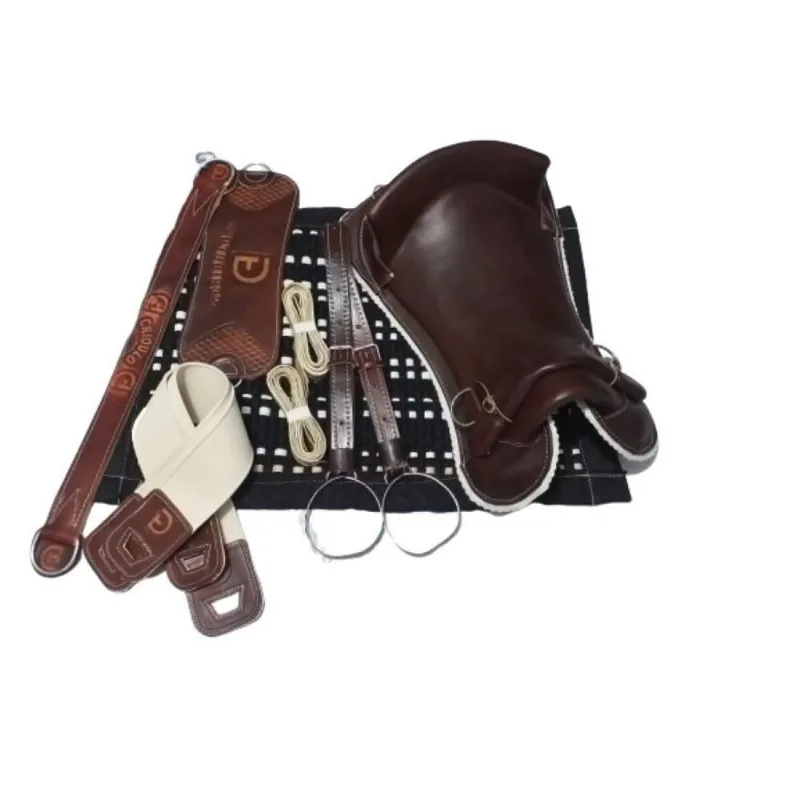 Kit 10xbmontaria Peças Sela Freio Ouro E Bacheiro