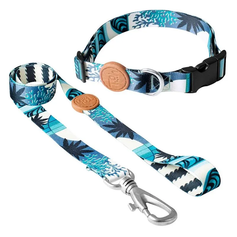 Conjunto Coleira e Guia para Cães Toh PP Noronha