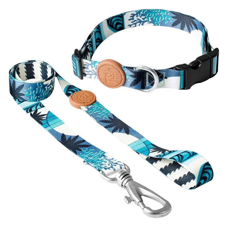Conjunto Coleira e Guia para Cães Toh P Noronha