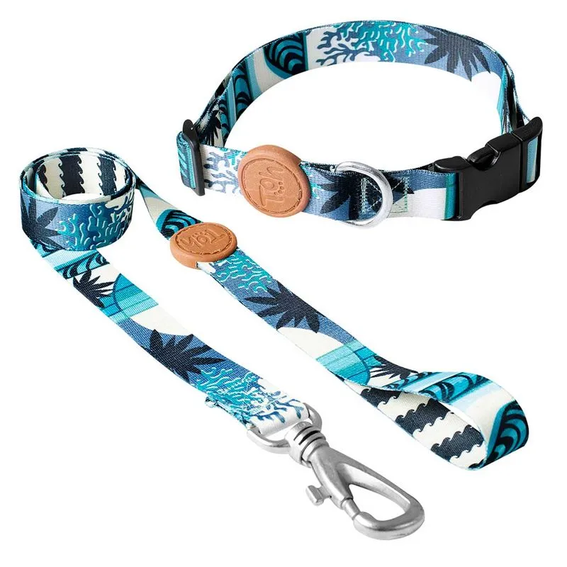 Conjunto Coleira e Guia para Cães Toh G Noronha