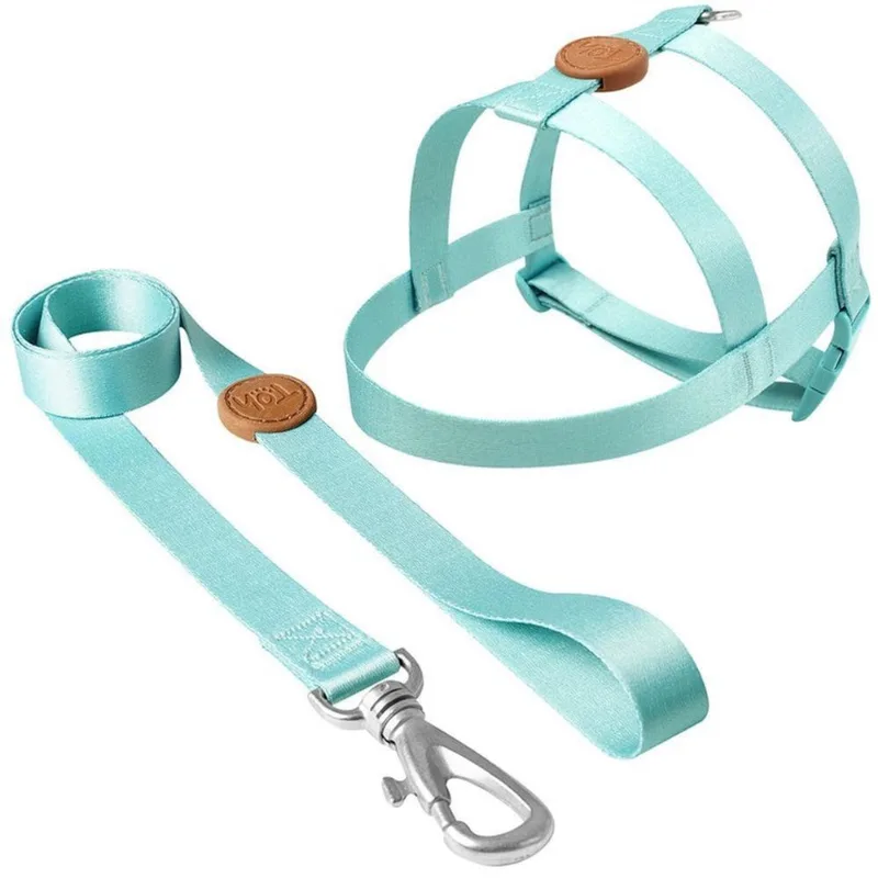 Conjunto Peitoral E Guia Tamanho M Verde Maresia Toh Dog