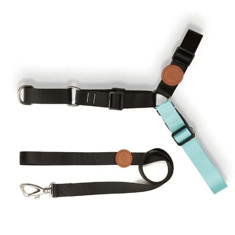 Conjunto Peitoral Antipuxão com Guia Toh Preto M