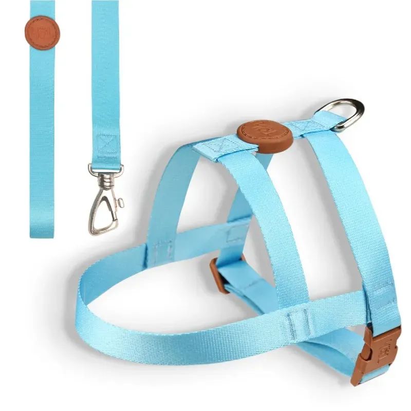Conjunto Peitoral Tradicional com Guia Toh Azul GG