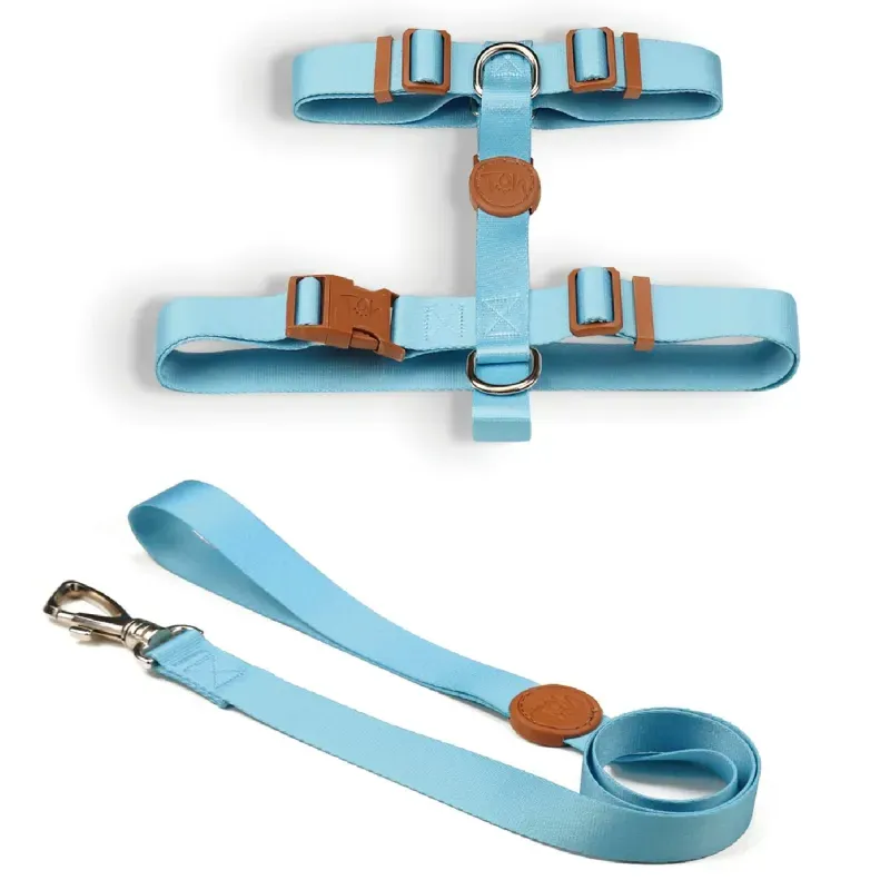 Conjunto Peitoral H com Guia Toh Azul P