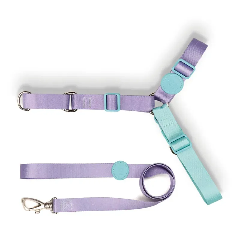Conjunto Peitoral Antipuxão com Guia Toh Lilás M