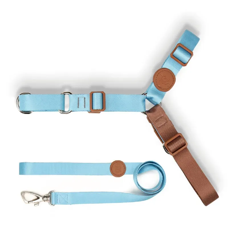 Conjunto Peitoral Antipuxão com Guia Toh Azul G