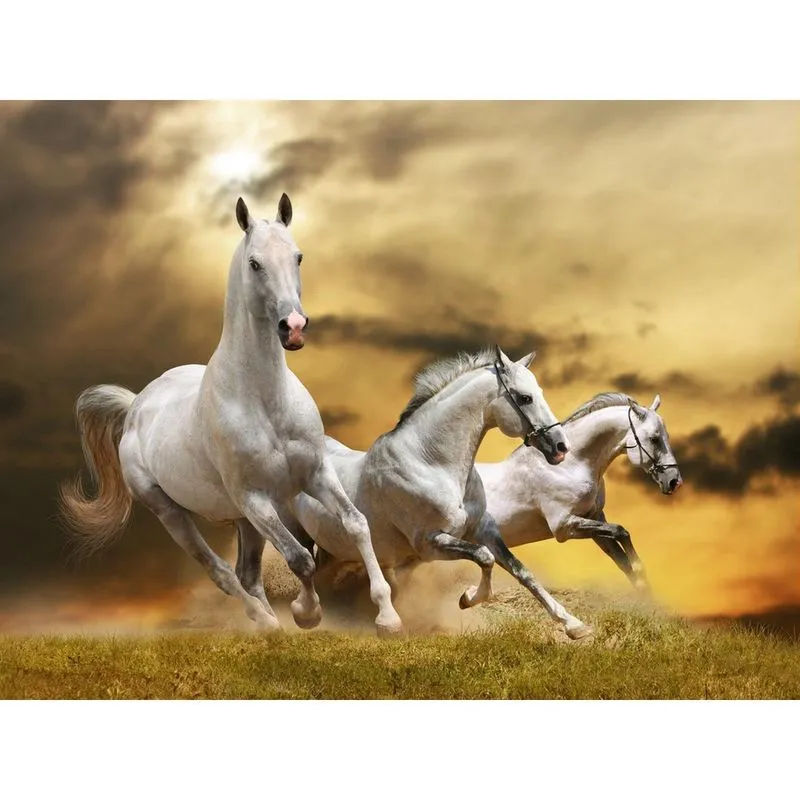 Papel De Parede Animais Cavalos Correndo 3D 7,50M² Anm100