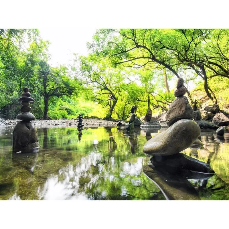 Papel De Parede Jardim Japonês Japão Bosque 3D 7,50M² Jjp11