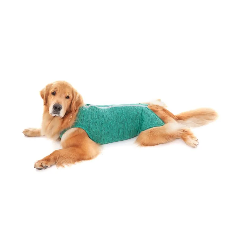Roupa Pós Cirúrgica Regular Duo Dry Verde Petmed Tamanhos 2 Ao 12