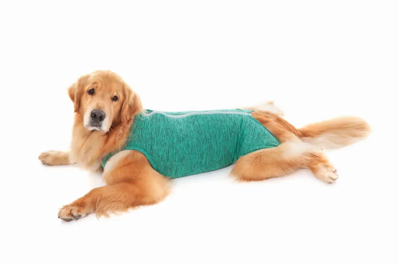 Roupa Pós Cirúrgica Regular Duo Dry Verde Petmed Tamanhos 2 Ao 12