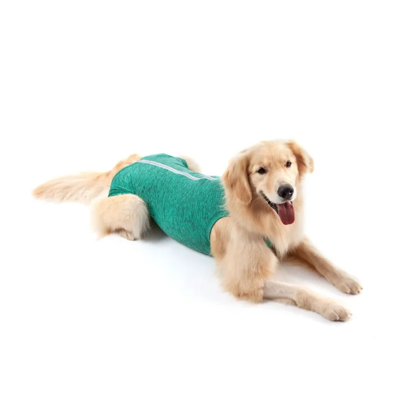 Roupa Pós Cirúrgica Regular Duo Dry Verde Petmed Tamanhos 2 Ao 12