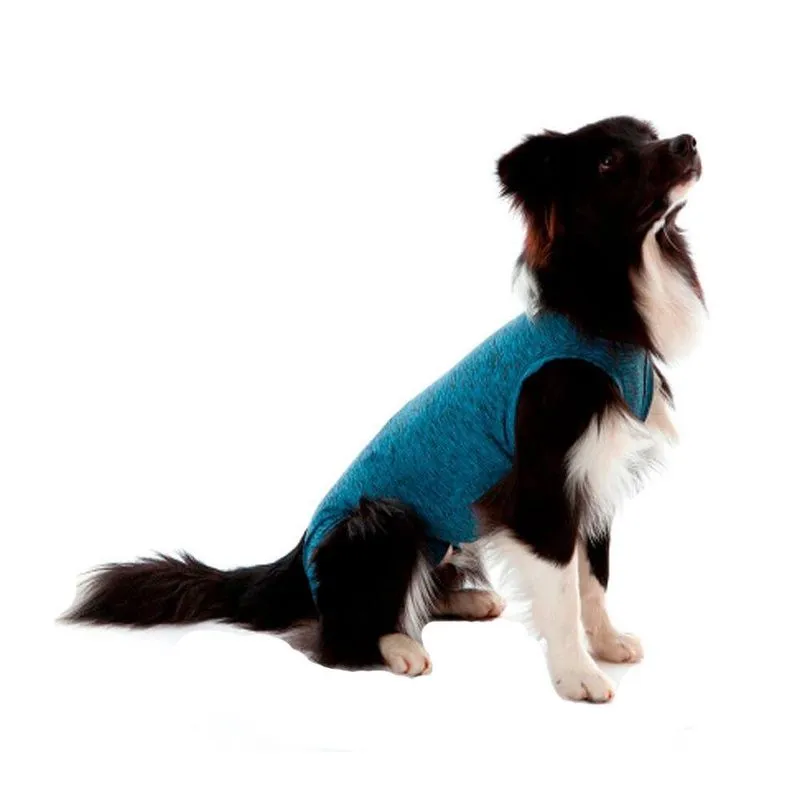 Roupa Pós Castração Pet Med Duo Dry Azul para Cães Macho - Tam. 12