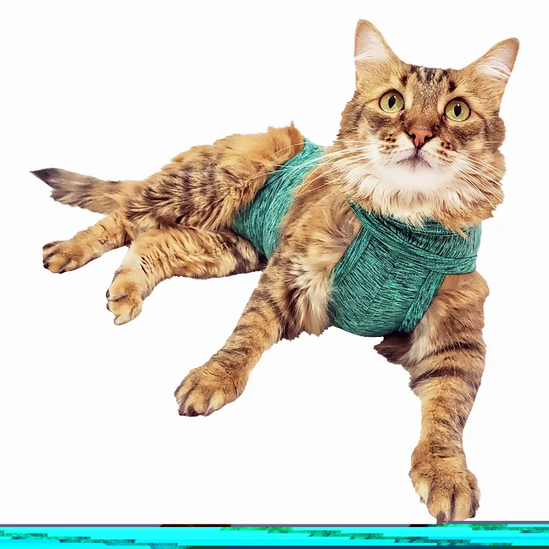 Roupa Pós Cirúrgica Para Gatos Duo Verde Petmed Tamanhos 2, 3, 4