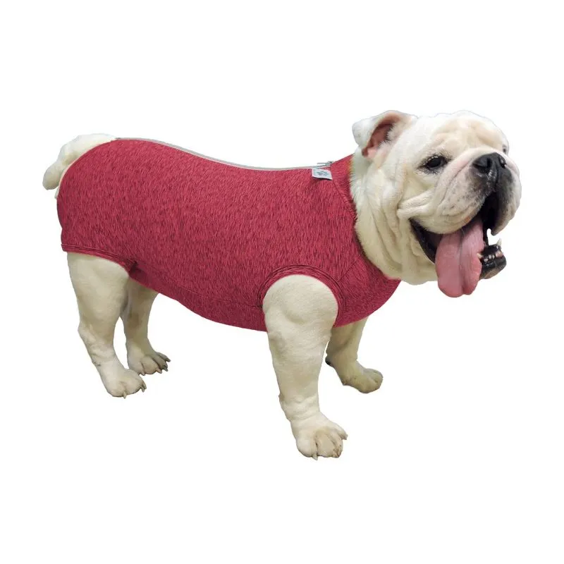 Roupa Pós Cirúrgica Fit para Cães - Buldogue Inglês - Rosa P