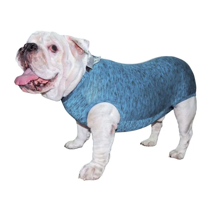 Roupa de Castração Fit para Buldogue Inglês Macho - Azul gg
