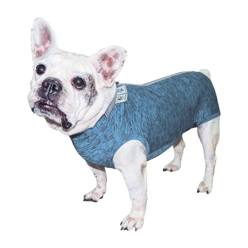 Roupa de Castração Fit para Buldogue Francês Macho - Azul pp