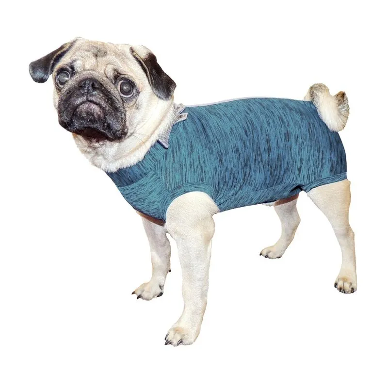 Roupa de Castração Fit para Cães Macho - Pug - Azul P