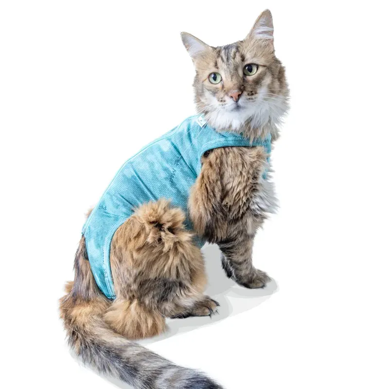 Roupa Pós-Cirúrgica Dry Light Supreme para Gatos Pet Med Verde Nº 1