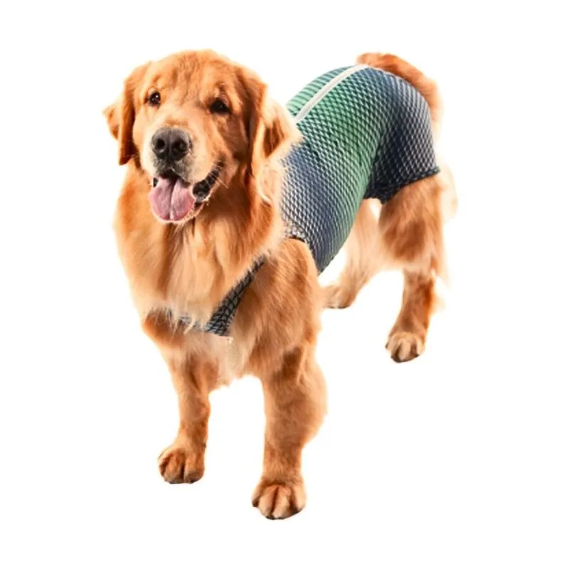 Roupa Protetora Corpo e Membros Cães Pet Med Azul e Verde 3