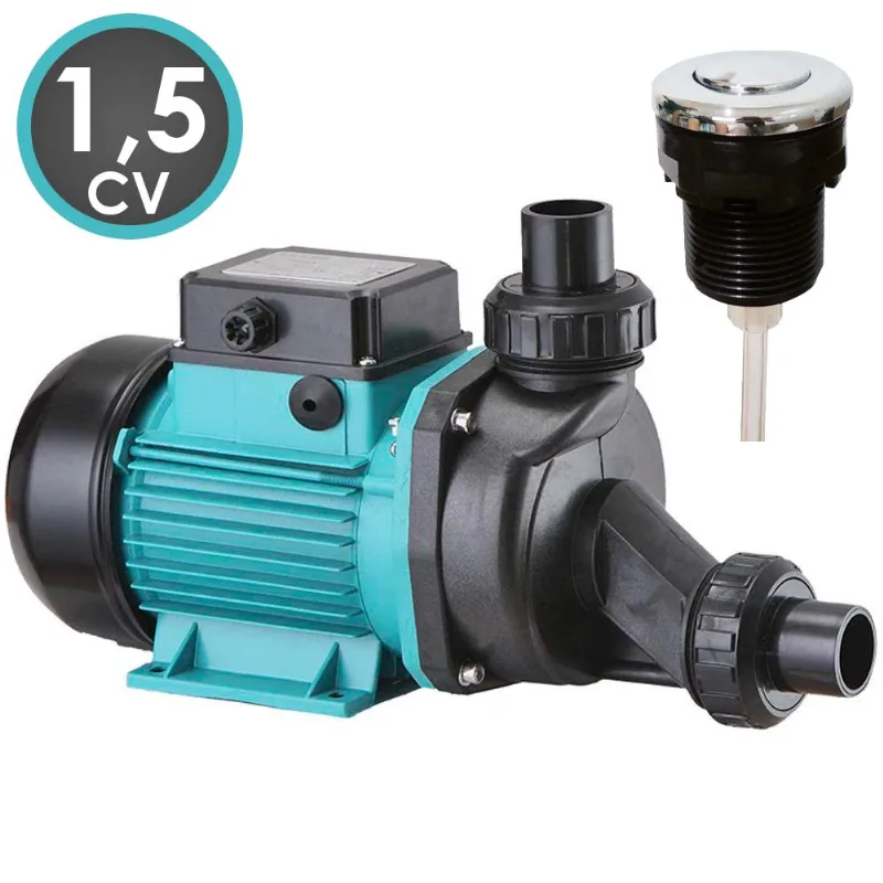 Motobomba De Hidromassagem 1,5cv Lspa1300 + Botão Kit
