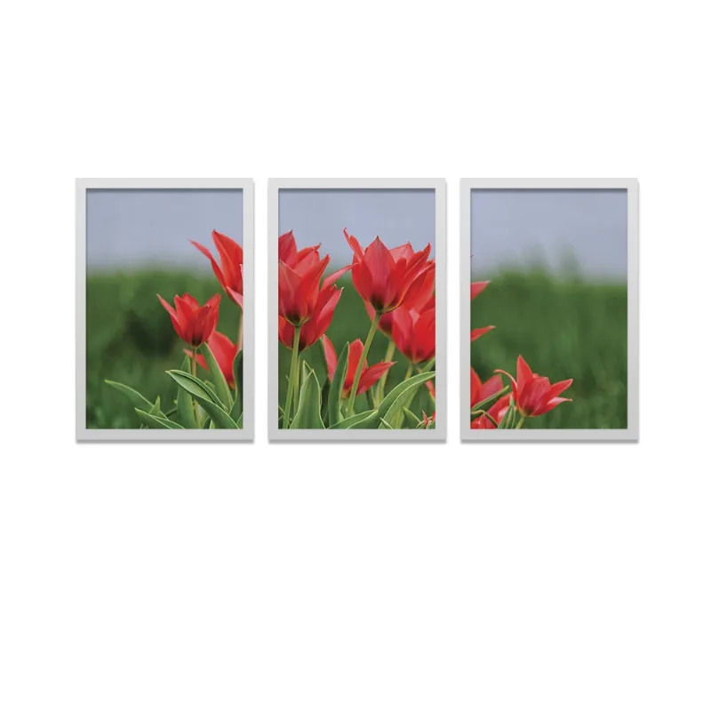 Conjunto Kit 3 Quadros Tulipas Vermelhas Moldura Branca