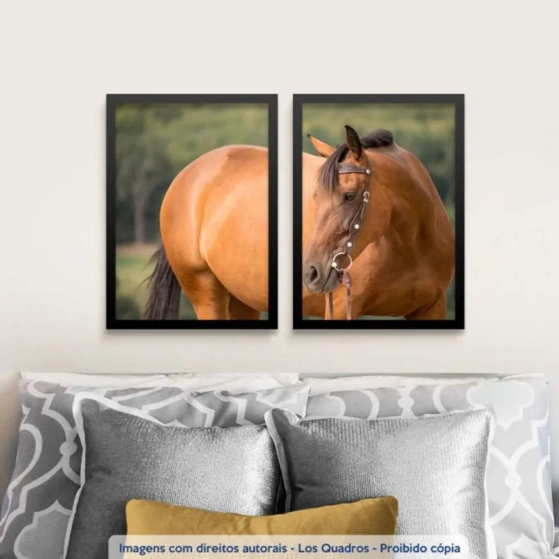 Conjunto 2 Quadros Decorativos Cavalo ao Campo Los Quadros