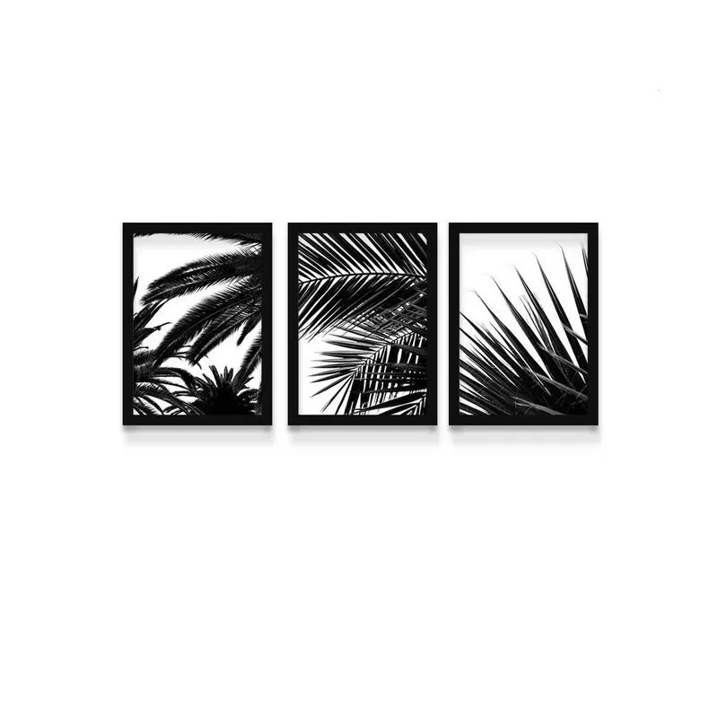Kit 3 Quadros Folhagem Natural Preta Com Moldura E Vidro
