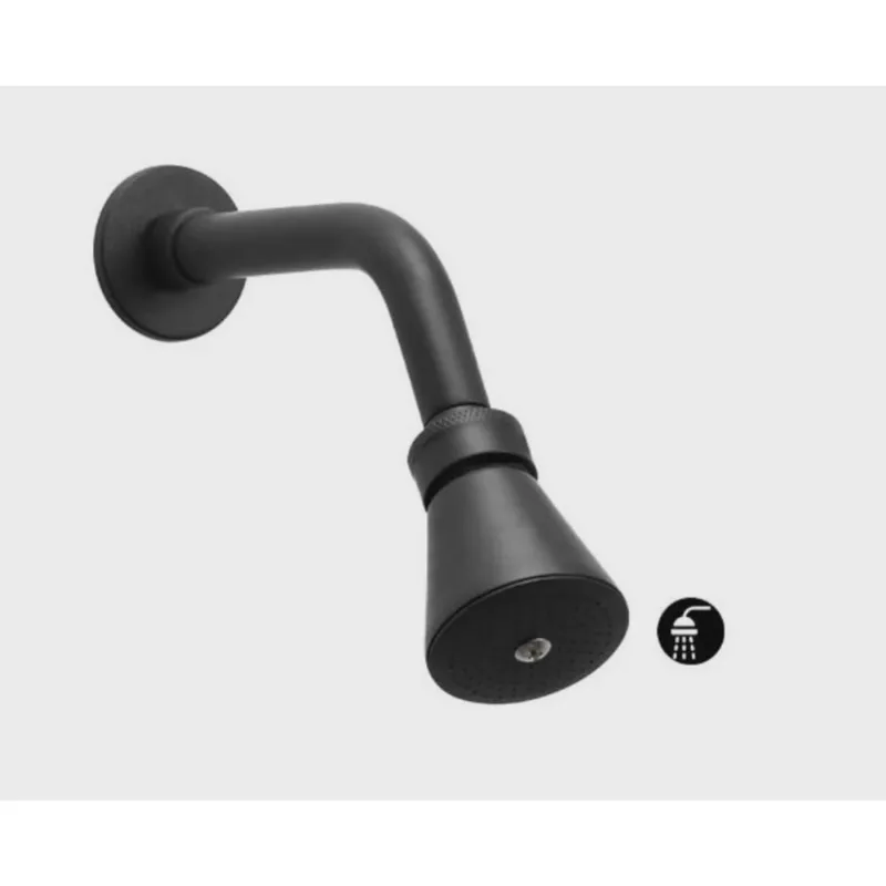 Ducha de parede luxo black 1998 jed
