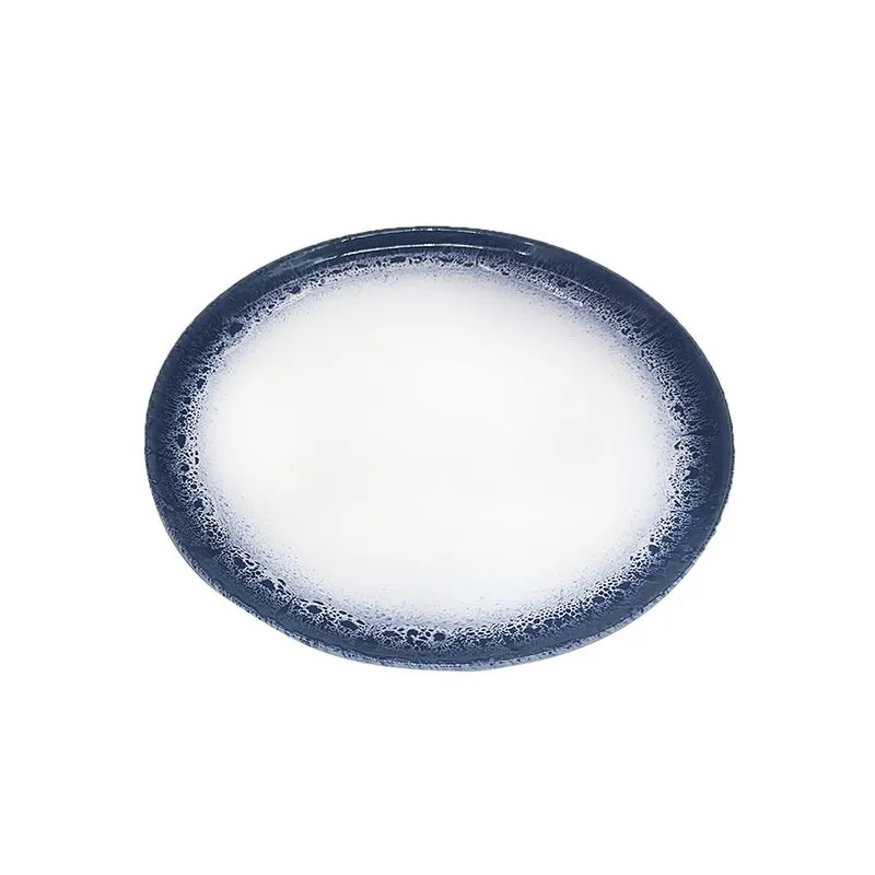 CONJUNTO DE PRATO EM PORCELANA BRANCO COM DETALHE AZUL 6PECAS