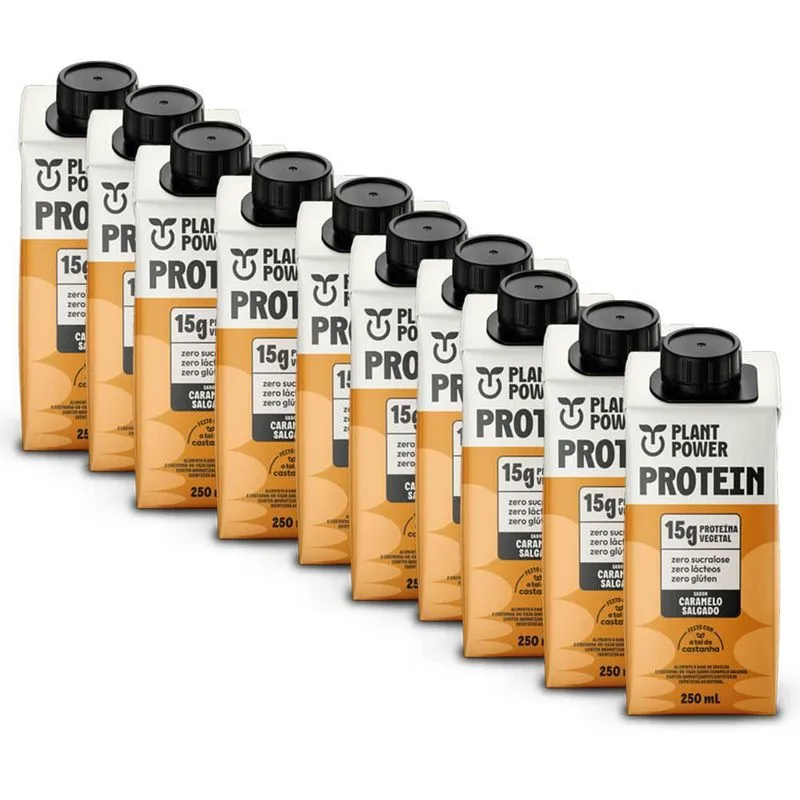 Bebida Vegana Plant Power Caramelo Salgado Kit 10 Unid 250ml