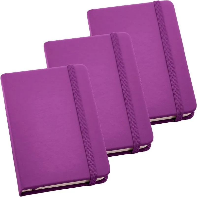 Kit 3X Caderneta De Anotações 9X14Cm 80Fls Sem Pauta Violeta