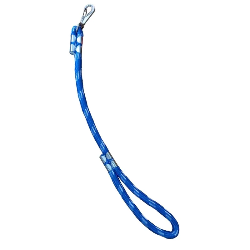 Guia De Corda Roliça Grossa 60Cm-16Mm Coleira Cão - Azul