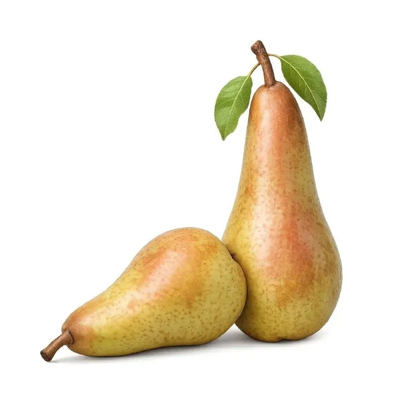 Pera Abate Fetel Garden Fruit 1kg