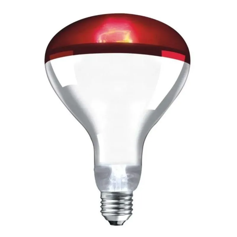Lâmpada Infravermelha 250W 220V