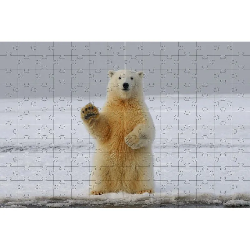 Quebra-cabeça Animais Do Frio Urso Polar 300 Peças
