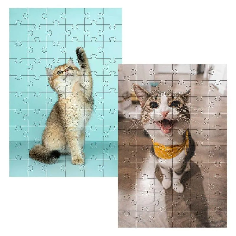 Kit 2 Quebra-cabeças Cognitivos Gatinhos De 60 Peças Quantidade De Peças:40 Peças
