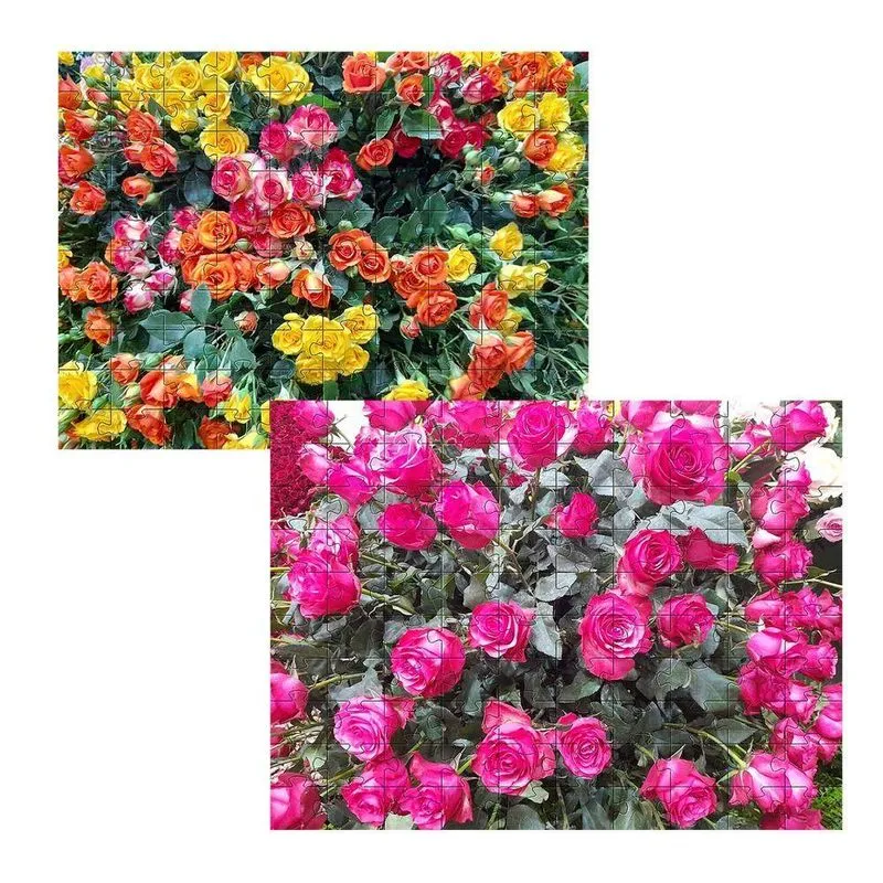 2 Quebra-cabeças Cognitivos Primavera Em Atibaia 60 Peças Cor:colorido