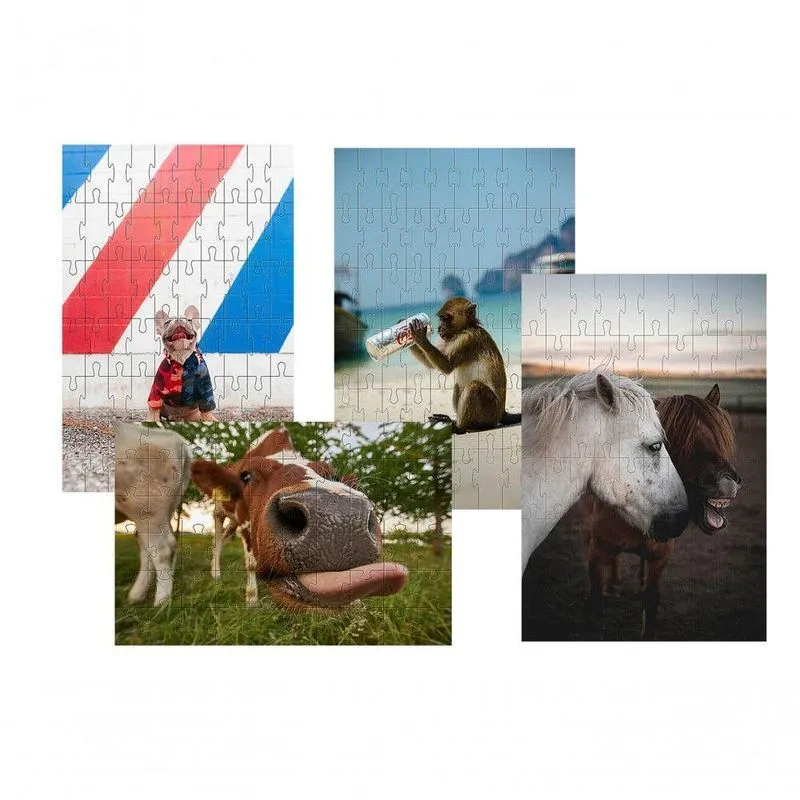 Kit 4 Quebra-cabeças Para Crianças Animais Divertidos De 24 Peças