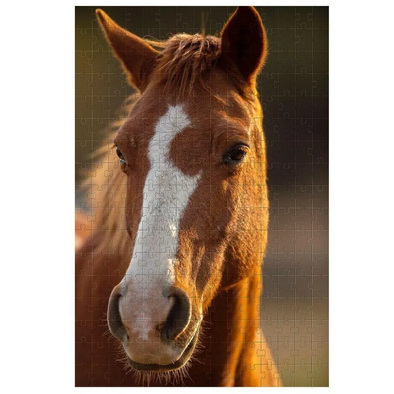 Quebra-cabeça Cognitivo Belo Cavalo 300 Peças