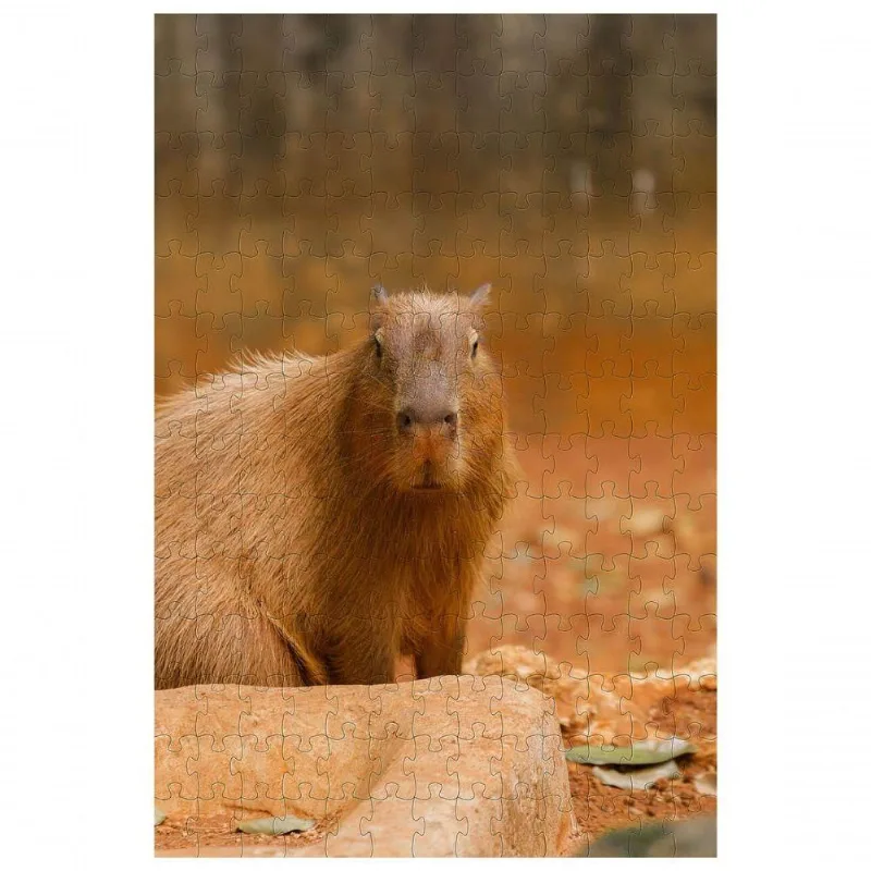 Quebra-cabeça Capivara De 60 Peças