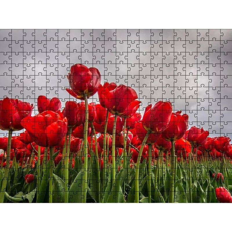 Quebra-cabeça Jardim Flores Vermelhas 300 Peças Que Encantam