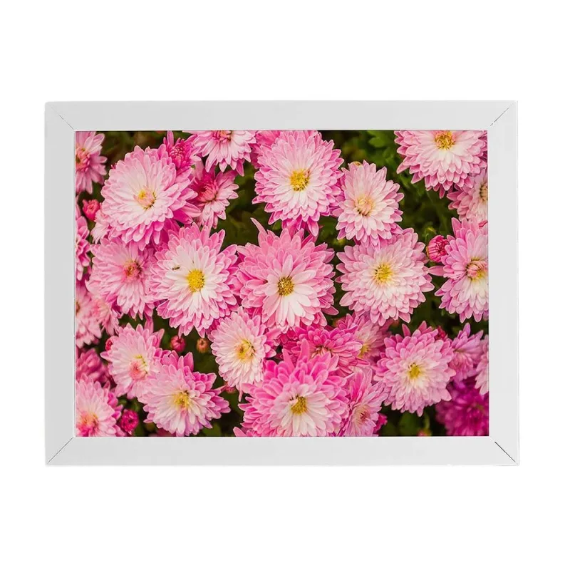 Quadro Crisântemo Rosa Flores Foto Moldura Branca 60x40cm