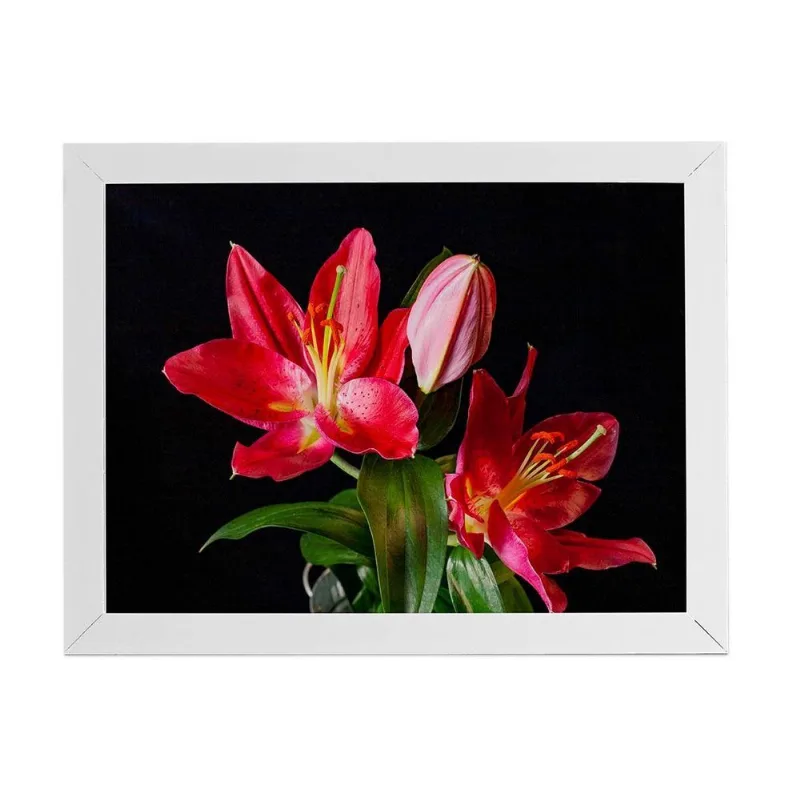 Quadro Lírio Tarrango Flores Foto Moldura Branca 60x40cm