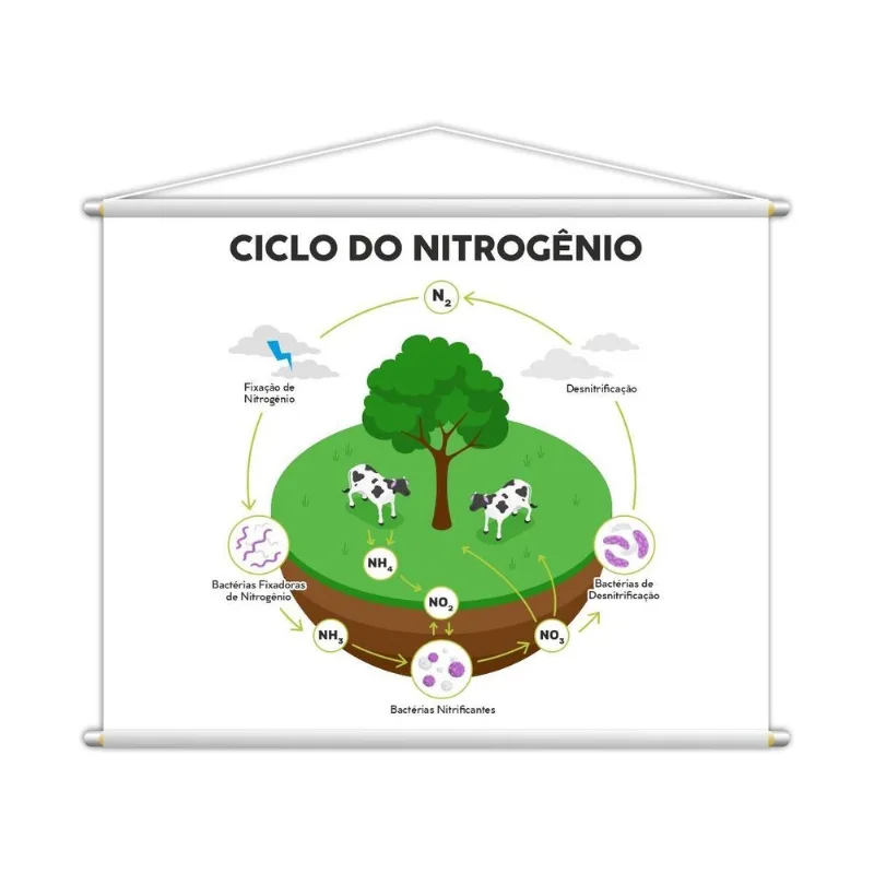 Ciclo Do Nitrogênio Banner Escolar Pedagógico 130x100cm