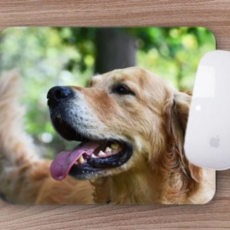 Mouse Pad Dog Golden Retrivier Pura Simpatia - DELUZZ