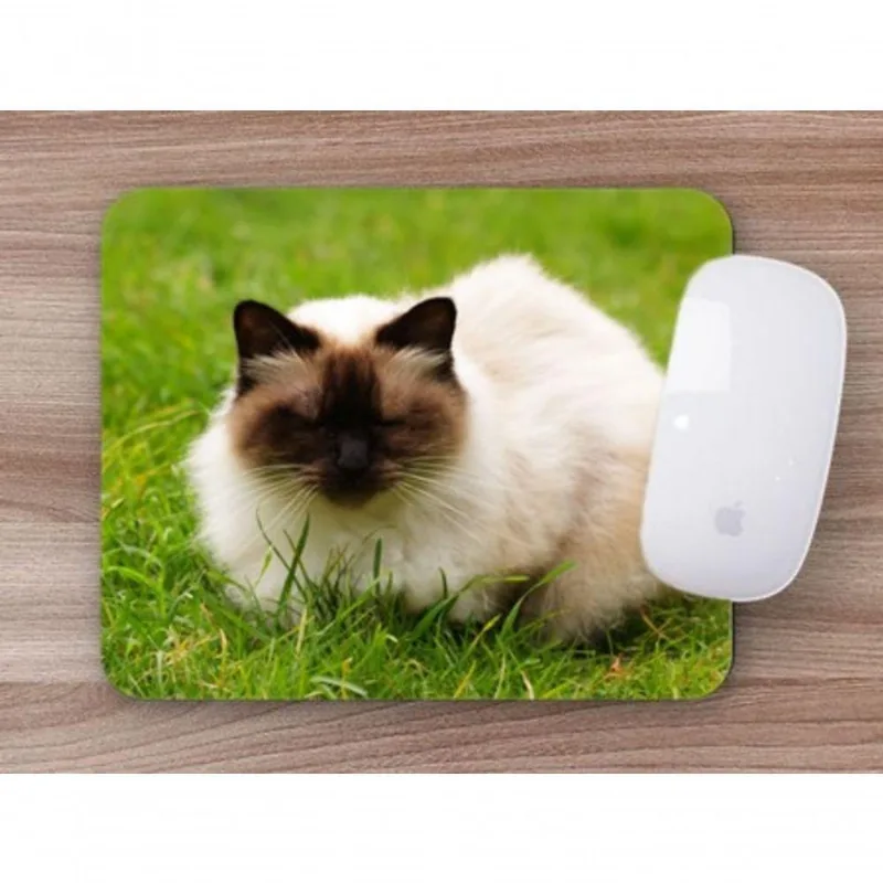 Mouse Pad Coleção Gatos Himalaia A Mistura Que Deu Certo - DELUZZ