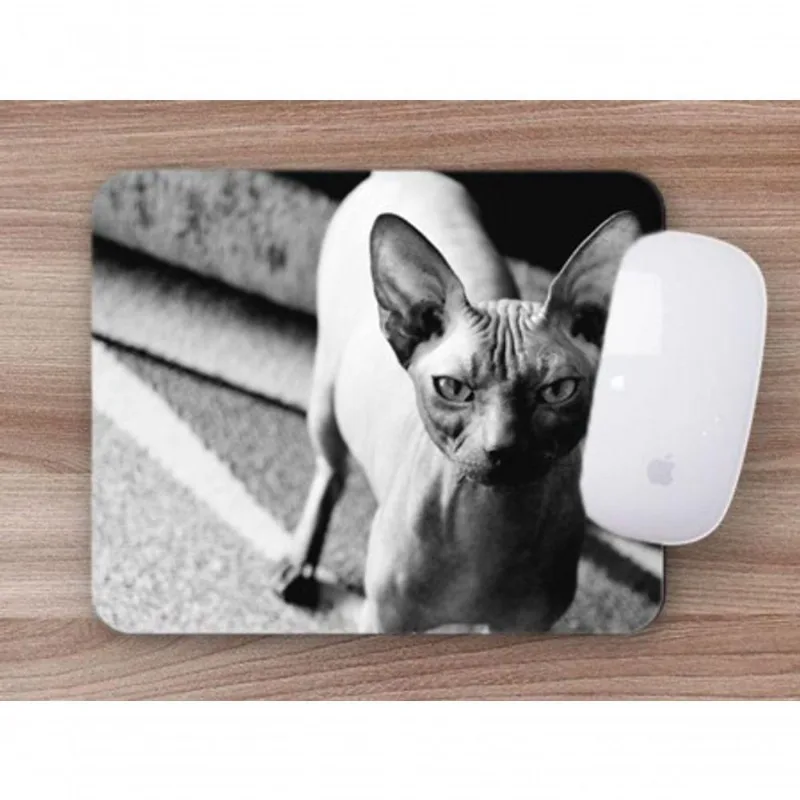 Mouse Pad Coleção Gatos Sphynx O Extravagante - DELUZZ