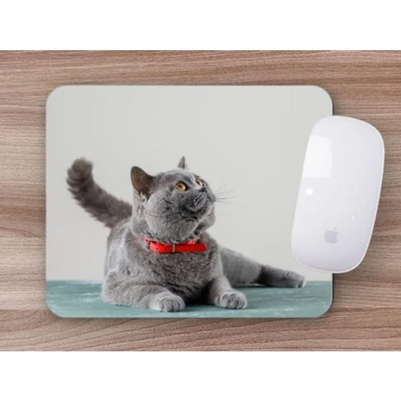 Mouse Pad Coleção Gatos British Shortair O Queridinho Das Estrelas - DELUZZ