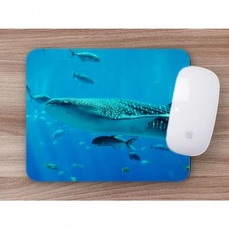Mouse Pad Coleção 7 Mares Tubarão Baleia Projeto Oceanos - DELUZZ
